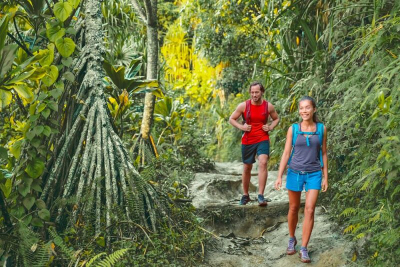 Hikers in Hawaii tropical jungle