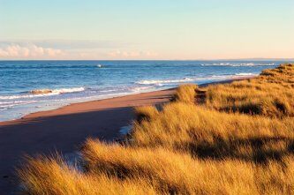 Tentsmuir National Nature Reserve
