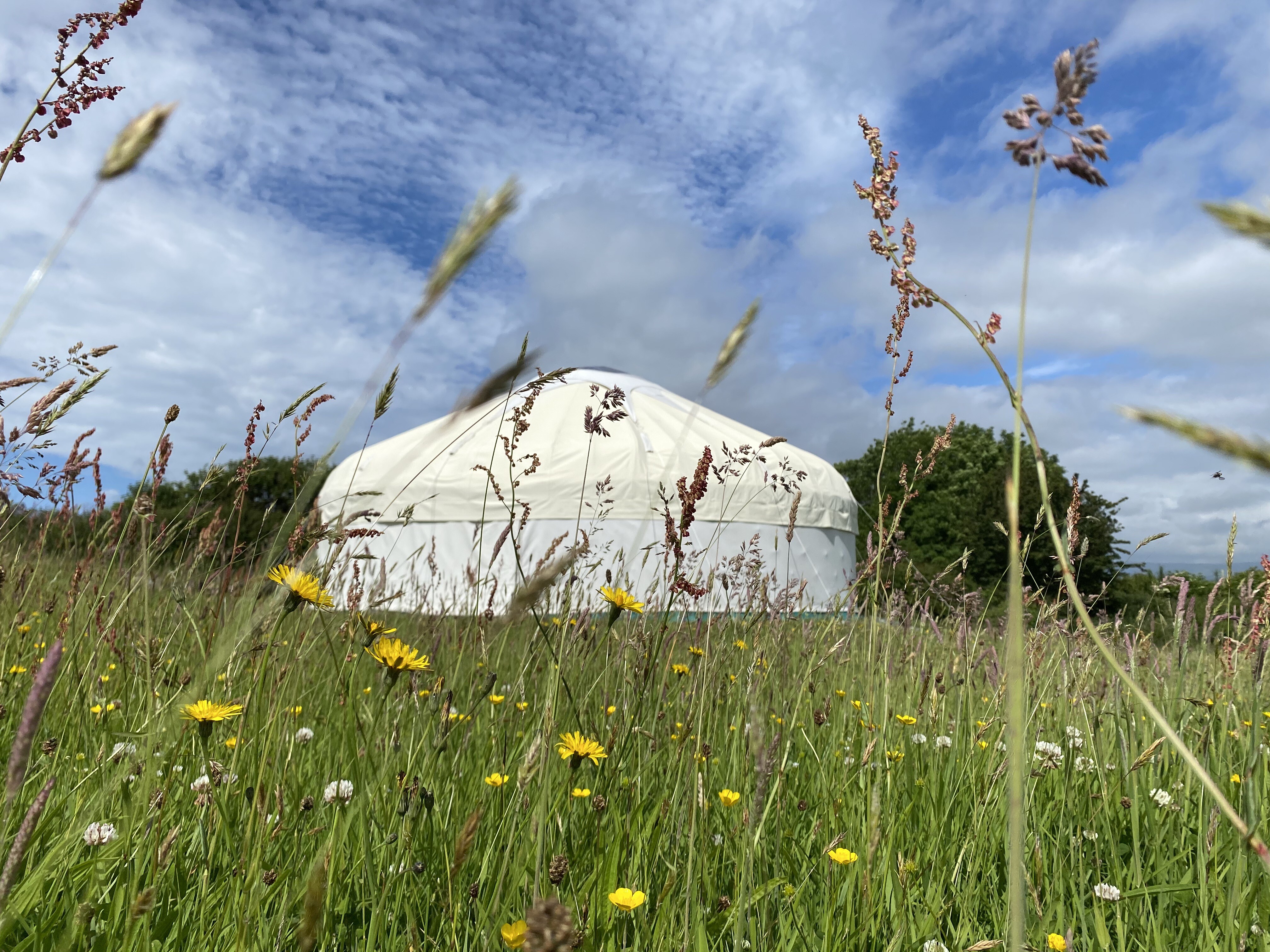 Devon Yurt