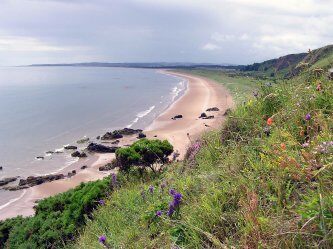 St Cyrus National Nature Reserve