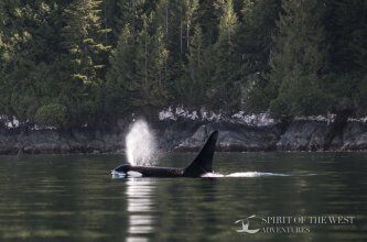 Spirit of the West Adventures