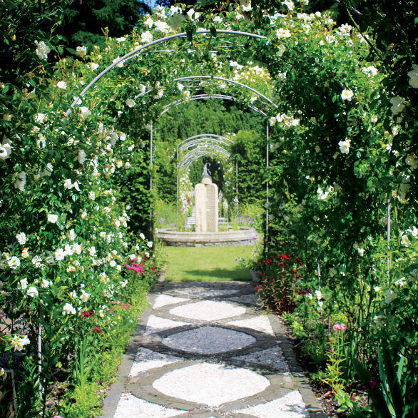 Backhouse Rossie Estate Partnership