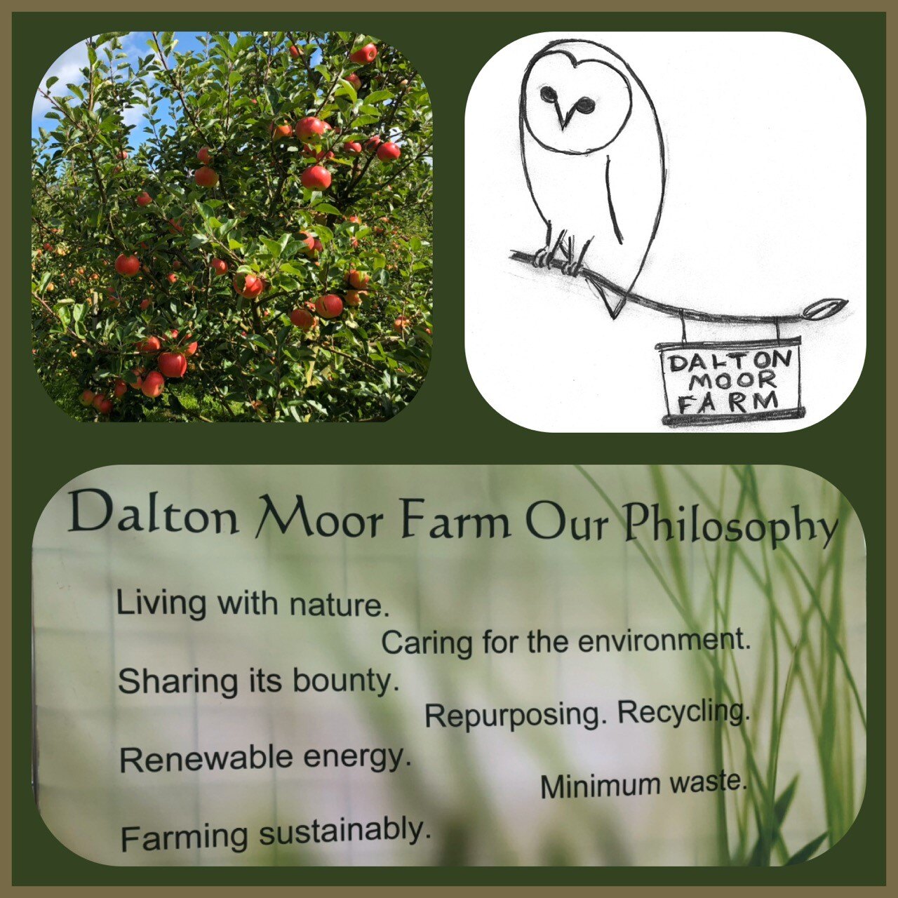 Dalton Moor Farm